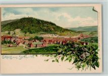 98527 O6000 Suhl Lithographie Panorama Blumen