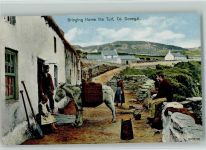 Donegal - Bringing Home the turf - Bauer mit Esel