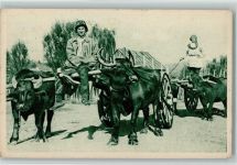 Bauern mit Ochsengespanne Volkstyp 1928
