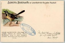 Schichts Bleichseife - Vögel Bachstelze AK Werbung 1900 Lithographie