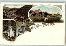 78098 W7740 Triberg im Schwarzwald Lithographie Bauernhaus Rinderweide Wasserfall
