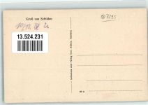 04889 O7295 Schildau , Gneisenaustadt Foto AK Kirchstraße Schulstraße Gneisenaustraße Gneisenau's Geburtshaus Post