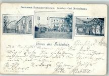 16230 O1301 Schönholz b Eberswalde 1900 - Gasthaus Kastanienwäldchen Garten Saal