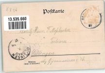 86609 W8850 Donauwörth 1897 Lithographie Kloster Heilig Kreuz Rathaus Bahnhof Donau Ruderboote