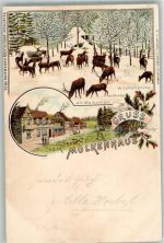 38667 W3388 Bad Harzburg 1896 Lithographie Gasthaus Molkenhaus Wildfütterung Ort lt. Stempel