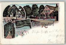 25548 W2217 Rosdorf , Holstein 1899 Lithographie Försterhaus Waldallee Gasthaus Waidmannsruh