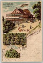 06507 O4301 Stecklenberg 1901 Lithographie Lauenburg Gebirgs-Hotel Wald-Sitzplätze