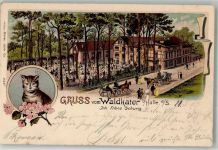 06108 O4002 Halle Saale 1903 Lithographie Gasthaus Waldkater