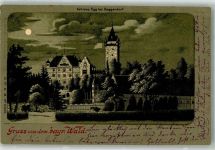 94469 W8360 Deggendorf 1899 Lithographie / Mondschein Adelskorrespondenz Schloss Egg