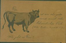 Stier Lederkarte AK aus Leder
