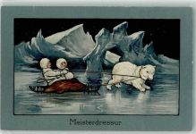 Meisterdressur Schlitten Eskimo Nr 396 Eisbär