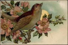 Vogel, Blütenzweig Kind um 1900