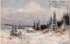 Winterlandschaft, Reh Kind 1907