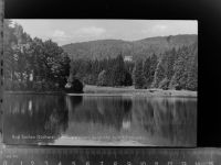 37441 W3423 Bad Sachsa GLASNEGATIV Schmelzteich m. Berghotel zum Katzenstein