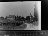 65375 W6227 Oestrich-Winkel GLASNEGATIV Schloss Vollrads