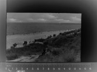 25992 W2282 List , Sylt GLASNEGATIV Strand