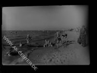 27472 W2190 Cuxhaven GLASNEGATIV