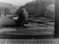 57629 W5239 Heimborn GLASNEGATIV
