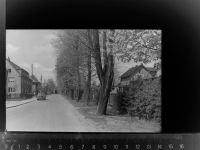48361 W4413 Beelen GLASNEGATIV