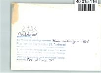 26897 W2993 Bockhorst , Hümmling FOTO KEINE AK Hümmlinger-Hotel Innenaufnahme