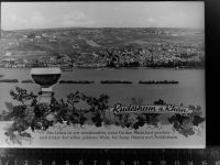 65385 W6220 Rüdesheim am Rhein GLASNEGATIV