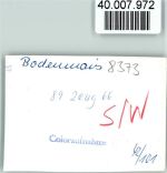 94249 W8373 Bodenmais FOTO KEINE AK