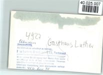 32676 W4927 Elbrinxen FOTO KEINE AK Gasthaus Luther Innenaufnahme