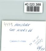 49770 W4479 Herzlake FOTO KEINE AK