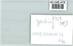 94579 W8359 Zenting FOTO KEINE AK Ortsansicht