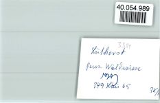 37586 W3354 Lüthorst FOTO KEINE AK Pension Waldwiese