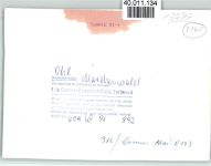 W5272 Ohl Märchenwald Märchen FOTO KEINE AK