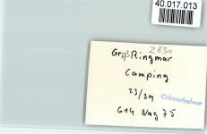 27211 W2830 Groß Ringmar FOTO KEINE AK Campingplatz