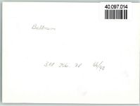 26579 W2985 Baltrum FOTO KEINE AK Pferdekutsche