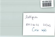 31073 W3223 Delligsen FOTO KEINE AK