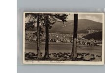 38700 W3389 Braunlage