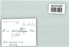 24837 W2380 Schleswig FOTO KEINE AK