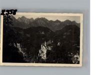 87645 W8959 Neuschwanstein