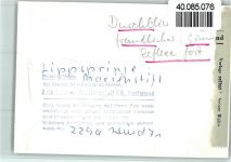 33175 W4792 Bad Lippspringe FOTO KEINE AK Marienstift