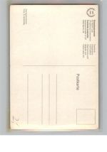 94060 W8398 Hund - Hund Zwergschnauzer