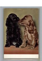 94060 W8398 Hund - Hund