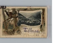 79682 W7865 Todtmoos