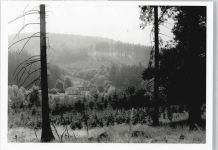 35647 W6331 Hasselborn - Foto