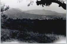 72639 W7442 Neuffen - Foto-Karte