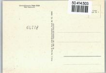 54528 W5566 Salmrohr