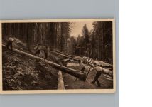 Schwarzwald Motiv