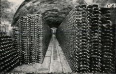 Weinkeller Wein