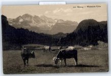 Brünig Weidende Kühe Bäuerliches Leben
