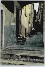 19010 Corniglia