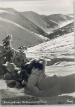 Winter-Karte
