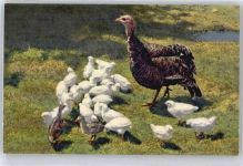 Ente Künstlerkarte